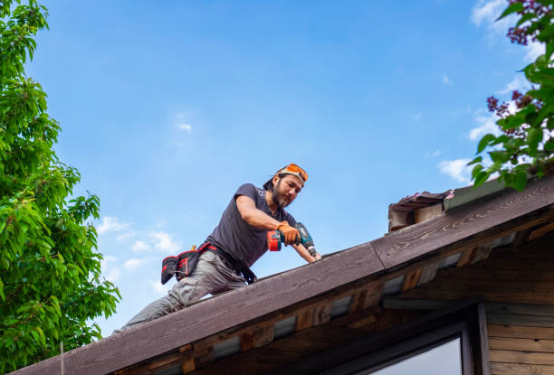 Best Steel Roofing  in Trempealeau, WI