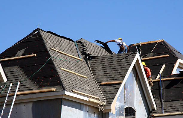 Best Solar Panel Roofing Installation  in Trempealeau, WI