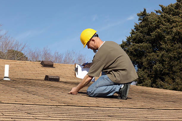 Best Roof Moss and Algae Removal  in Trempealeau, WI
